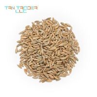 Available in bulk at competitive prices, organic whole rye grains from trusted suppliers