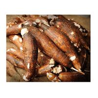 Hot sale vegetables bulk market sale new crop cassava yucca root high quality fresh cassava cassava flour