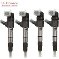 0445110293 1112100-E06 Genuine Diesel Common Rail Injector 0445110293 Great Wall Haval 0445110407 1112100-E06