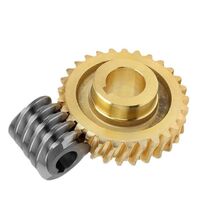 Custom worm gear worm gear