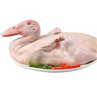 Halal frozen whole duck, best quality Peking duck.