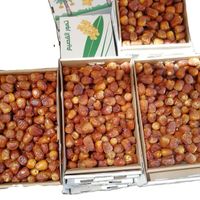 Saudi Arabia Alqasim Fresh Harvested Sukkari Dates Best Price 500g 1kg 3kg box with your label