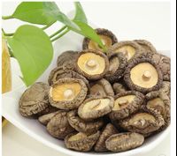 Premium Vietnamese Manufacturer Phuc Nguyen Dried Shiitake Mushrooms 100g