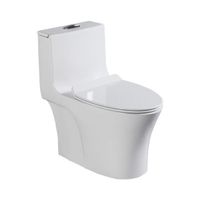 2021 hot selling white ceramic toilet with great water saving effect