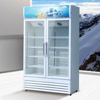 Supermarket display freezer vertical beverage refrigerator beer cabinet
