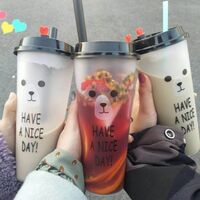 Popular Custom Disposable Smoothie PP Hard Plastic Beverage Bubble Milk Tea Cup