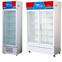 Single Door Glass Door Pepsi Beverage Display Case Refrigerator Special Offer