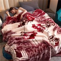 Super Soft Mink Korean Heavyweight Spanish Blanket Plush Soft and Warm 2 Layers Printed Raschel Winter Bed Blanket