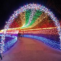 100 meters 800 lights LED strobe light string full of stars outdoor rainproof bar night market barbecue decorative lights