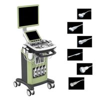 2023 New Design Trolley 4D Heart Probe Color Doppler Ultrasound Machine