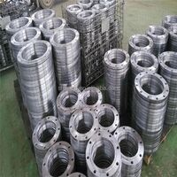 Various flanges/carbon steel flanges/sorf/wnrf/blind flanges