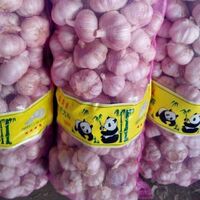 2021 New Crop China Fresh Garlic Red Normal Purple Pure White Garlic Supplier ajo alho Garlic Wholesale Export GAP Price