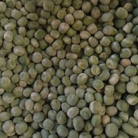 Fresh dry young green peas from Argentina