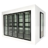 Freezer Glass Door/Cold Storage Refrigerator Glass Door