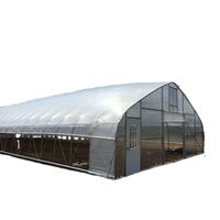One by one easy to handle cheap metal frame for outdoor greenhouse garden foil tunnel poly house agriculture greenhouse