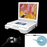 Portable endoscope ccd camera system for ENT