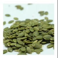 Pumpkin Seeds Hot Price-99 Gold Data 100% Fresh Pumpkin White Dried Pumpkin Kernel Extract