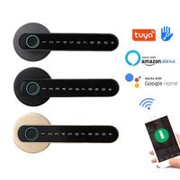 Electronic Biometric Smart Home Fingerprint Password Handle Smart Door Lock