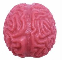 Mskwee 2018 Halloween Slow Up Soft Brain Crazy Prank Toys for Stress Relief Toys Party Decoration