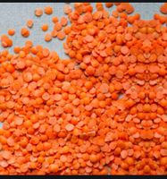 Premium Bulk Dried Lentils Red Lentils Green Lentils