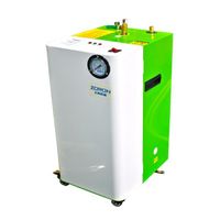 Wholesale Factory Supplier Mini Smart Steam Generator Power Electric Heating Steam Generator