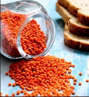 Export Factory Wholesale Dried Red Lentils
