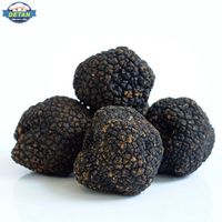 Detan fresh wild black truffle