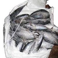 Whole Skipjack, US Grade Frozen Skipjack