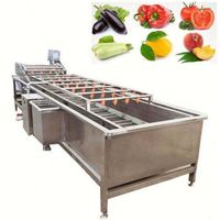 Multi-functional high-efficiency seafood, French fries, vegetables, fruits and apples blanching machine Multi-functional fruit cleaning machine 1000