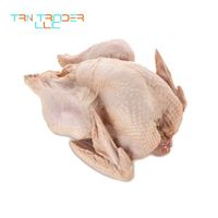 Leading Exporter of Wholesale Volume Halal Whole Frozen Turkey with Healthy Taste