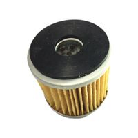 TNT25 TNT250 BN251 Engine oil filter for BENELLI