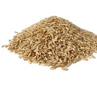 High-quality hulled oats/oat groats