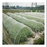 Ex-factory price insect net for greenhouse agricultural plant protection insect net
