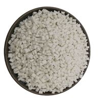 Plastic rubber granule white pp granule pbt gf15 plastic raw material