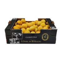 Italian fresh apricots, size 35-40, 5kg celebrity fruit bulk box, yellow or red rind