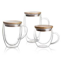 Custom Drinking Double Wall Clear Borosilicate Glass Coffee Mug with Lid and Handle