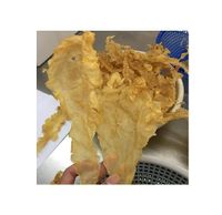 Dried Cod Fish Maw/Factory Cod Fish Maw/Dried Fish Maw (+84587176063 Whatsap Sandy)