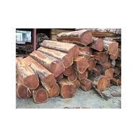 High Quality Wholesale Custom Teak Logs Pine and Red Cherry Large Block Forest Teak Logs