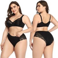 High Quality Push Up Bra and Panty Set Plus Size Matching Panty and Bra Set Women's Plus Size Bra Set