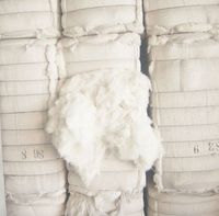 High Quality Organic Cotton Fiber, Bleached Organic Cotton Fiber, Made by China's Top Manufacturer