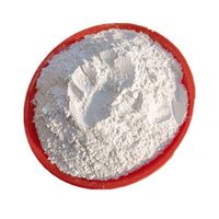 Ultrafine silica 2500 mesh Microsilica silica powder