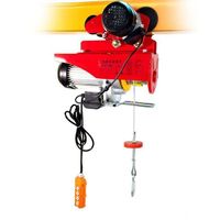 China factory small electric hoist 500kg cheap 220V cable hoist ladder hoist electric