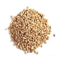 Premium Shellless Pearl Barley / Whatsapp: +84 845 639 639