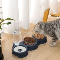 Cat food non-slip double bowl pet automatic feeder drinking fountain three-in-one dog cat food container drinking fountain