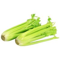 Chinese fresh celery wholesale new products exported to Malaysia, United Arab Emirates, Singapore, Canada, with the best price