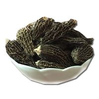 Wholesale Morel Mushrooms Buy Wild Dried Morel Mushrooms Price Morel Mushrooms