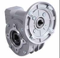 Special worm gear reducer