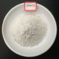 Ordinary dolomite powder, raw dolomite powder for ceramics