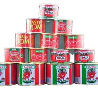 Tomato Sauce 70g Tomato Sauce Canned Tomato Sauce in Different Sizes