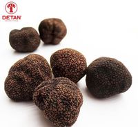 DETAN 2021-2022 New Season Supply Premium Tuber Indicium Fresh Wild Black Truffle Mushroom